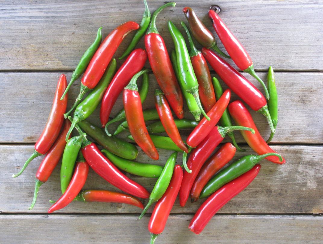 Serrano Pepper White Harvest Seed Company