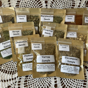 Astragalus Herb Bundle