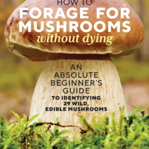 How to Forage for Mushrooms without Dying